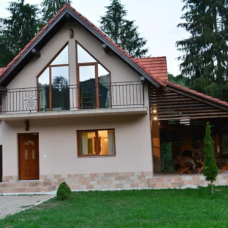 Din Padure Holiday home