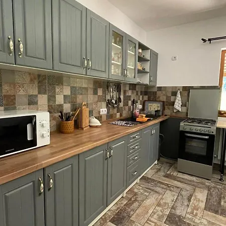 Din Padure Holiday home